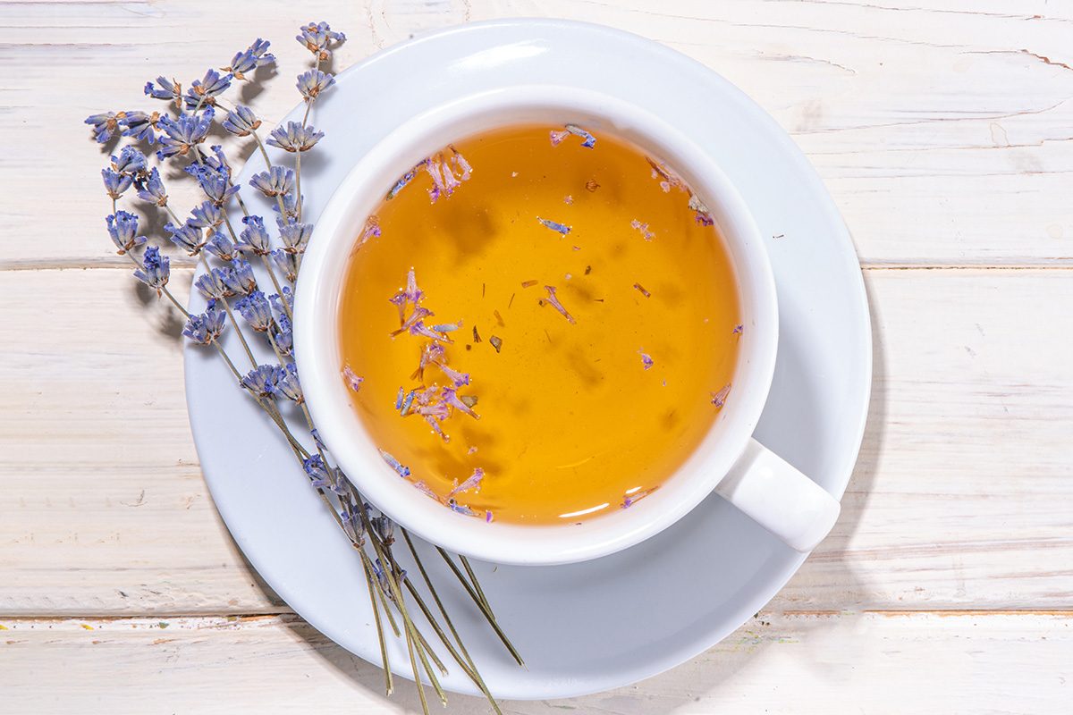 Lavender Gettyimages 1405626656