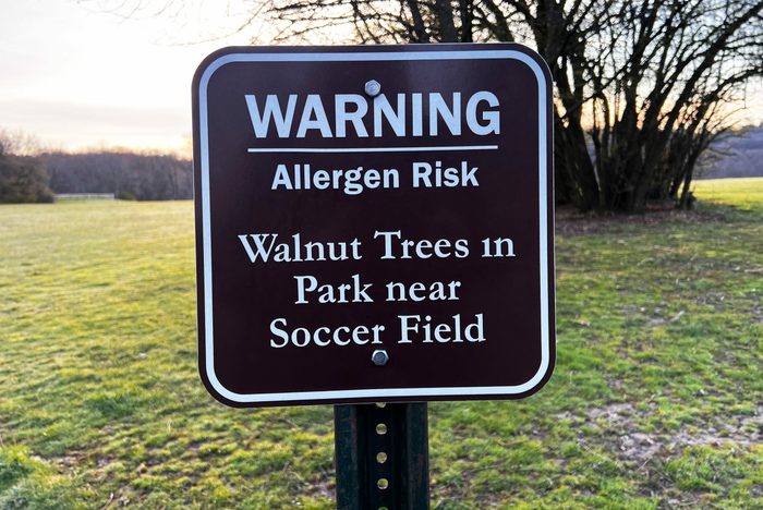 Walnut Tree Allergen Risk