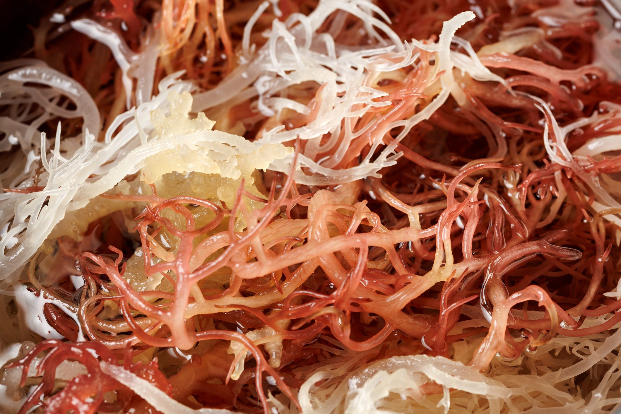 9 Health Benefits of Eating Sea Moss, Explained by Expert Nutritionists